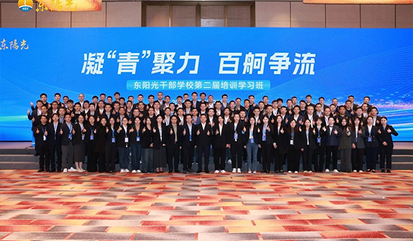 凝“青”聚力，百舸争流 | 欧博官网干部学校2024年第二届培训学习班圆满结束